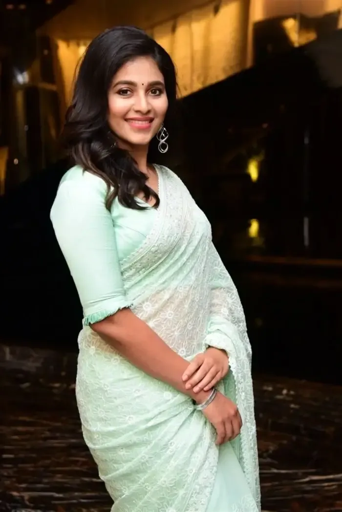 SOUTH INDIAN ACTRESS ANJALI STILLS IN TRADITIONAL LIGHT GREEN SAREE 15